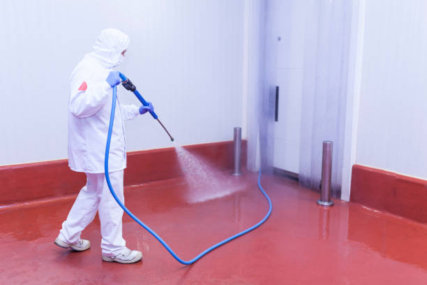 Best Paint Preparation  in Bunkie, LA